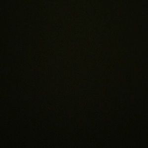 Meet your Posher, Isabel